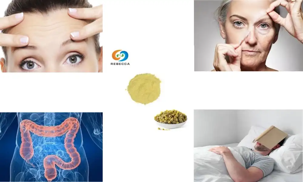 Best Organic Chamomile Extract Powders You Can Trust in 2025 - Rebecca